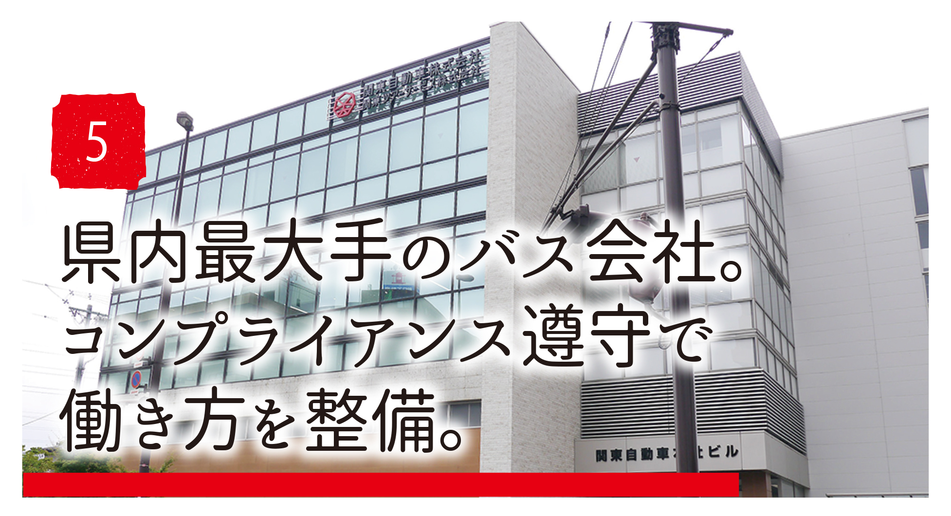 P5.jpg